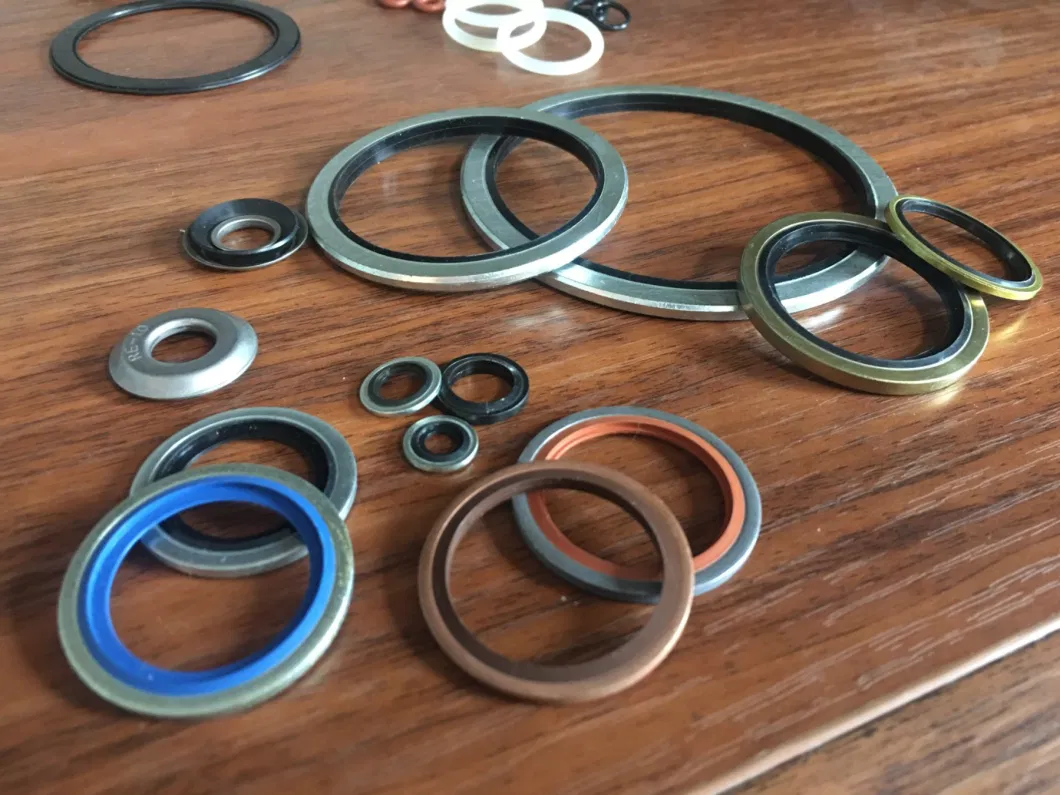 Self Centralizing 304 Stainless Steel Dowty Seal Gasket NBR Rubber Bonded Seal Washer 2