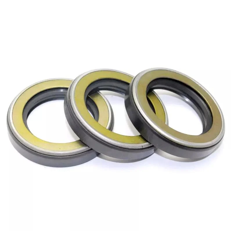 TCN Oil Seal dengan O-Ring Skeleton Seal dan Combination Washer 5