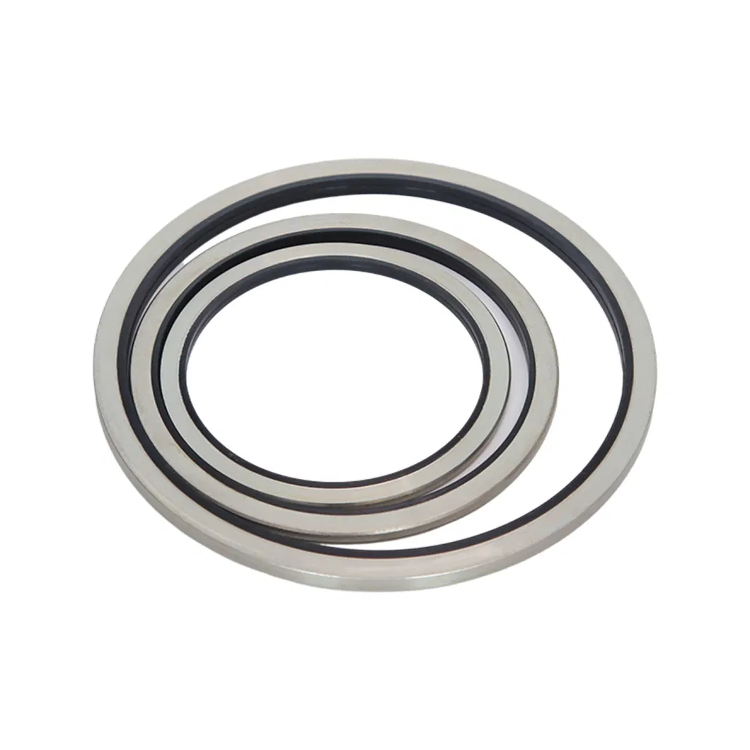 TCN Oil Seal dengan O-Ring Skeleton Seal dan Combination Washer 16